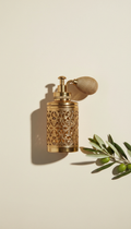 Colognes & Perfumes